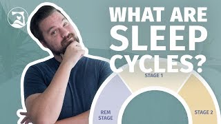 What Are Sleep Cycles  Everything You Need To Know [upl. by Sauer]