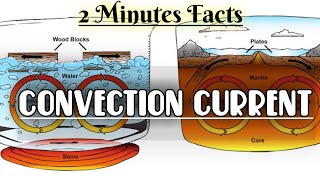 Convection Current  Just 2 Minutes Facts  Simplified Concept [upl. by Melville]