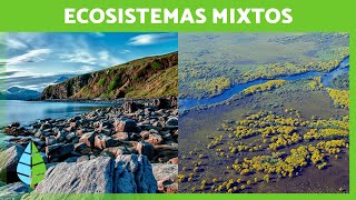 Los ECOSISTEMAS MIXTOS 🏝️🏞️ Características TIPOS de Ecosistemas Mixtos y Ejemplos [upl. by Narret676]