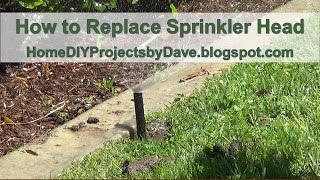 How To Replace the Sprinkler Head [upl. by Allegra]