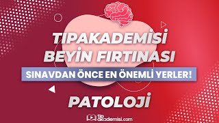 TIPAKADEMİSİ BEYİN FIRTINASI  TUS Patoloji Sınavdan Önce En Önemli Yerler [upl. by Birkett]