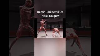 Demir Gibi Kemikler Nasıl OluşurMuai Thai [upl. by Scrogan891]