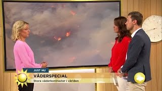 Stora väderkontraster i världen  Nyhetsmorgon TV4 [upl. by Eiramnna616]