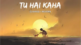 Tu Hai Kaha  Slowed  Reverb Lofi Song In Hindi  Sad Emotional Song  lofisong [upl. by Lyrehc]