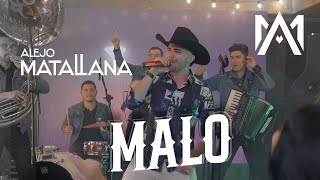 Alejo Matallana  Malo Live Sessions [upl. by Natiha]