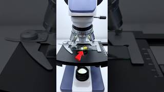 Boiled egg microscope 👀😳 shorts ytshorts trending viarlshorts [upl. by Anairad]