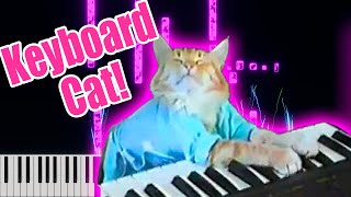 Keyboard Cat MIDI  Keyboard Cat Crazy Piano sound [upl. by Bond777]