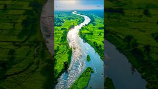 Brahmaputra  Bharat Ki Pita Nadi  IF Munda  brahmaputrariver india rever facts ytshorts [upl. by Yrebmik]