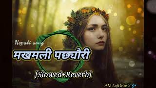 Makhamali Pachheuri Le Sanu🇳🇵Nepali Lofi Music 🎶 SlowedReverb Udit Narayan Jhaamp Sanjeevani song [upl. by Jurgen26]