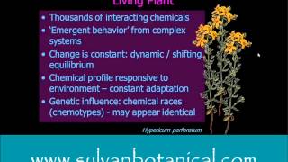 Phytochemistry Matrix of Plants [upl. by Cavit889]