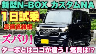 ホンダ 新型NBOX カスタムNA 1日試乗 高速道路編 ターボと比較！これを買えば間違いなし！HONDA NEW NBOX Custom NA [upl. by Eelidnarb556]