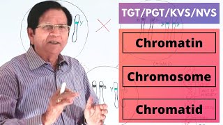 Chromatin Chromosome amp Chromatid  TGTPGTKVSNVS [upl. by Edvard]