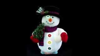 ANIMATED FIBER OPTIC SNOWMAN [upl. by Trab]