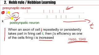 Synaptic Plasticity and Learning in the Brain [upl. by Elihu]