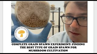 Grain Spawn Experiment FULL Finding the best type of grains for mushroom farming [upl. by Dreeda]