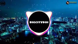 BigCiTyBoi Remix  Nhạc Tik Tok Remix 2020 [upl. by Ived685]