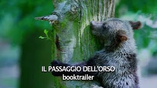 IL PASSAGGIO DELLORSO booktrailer [upl. by Eceinert860]