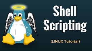 Shell Scripting Tutorial in Linux [upl. by Itida495]