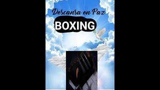 YBA RIP GER BOX 😭😭🕊🕊 [upl. by Vania]