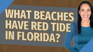 What beaches have red tide in Florida [upl. by Bertha]