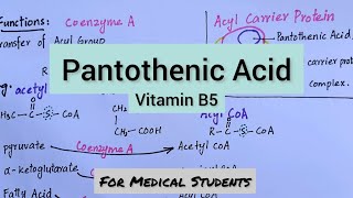 Pantothenic Acid  Functions Dietary Sources Deficiency Manifestations [upl. by Nussbaum]