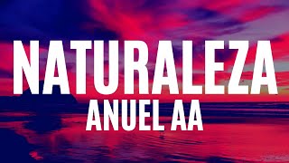 Anuel AA  Naturaleza LetraLyrics [upl. by Yesteb]