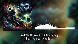 And The Flowers Are Still Standing  Janosz Poha Official Visualizer [upl. by Aelc789]