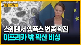 스웨덴서 엠폭스 변종 확진…아프리카 밖 확산 비상 세상만사 엠폭스 스웨덴 [upl. by Nytsirc]