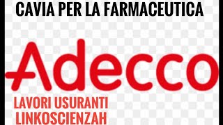 Lavori usuranti di Gigi Valli Devi fare la cavia caxxo ridi [upl. by Hoehne]