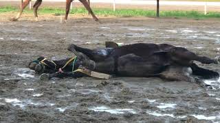 As bad as it gets Horse slowly suffers and dies on the track no one cares [upl. by Olrak]