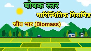 पोषक स्तर  Poshak star Trophic levels पारिस्थितिक पिरामिड Ecological Pyramids जीव भारBiomass [upl. by Mair]