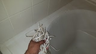 Remove Caulk in SECONDS Guaranteed Method [upl. by Chrisse]