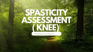 Modified Ashworth Scale Kneespasticitydemonstrationassessmentinterpretationstrokeneuroscience [upl. by Erik]