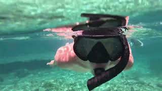 Grand Turk Snorkeling at Pillory Beach [upl. by Tichonn]