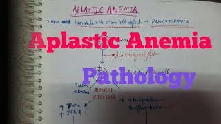 Aplastic anemia Pathology [upl. by Elle]