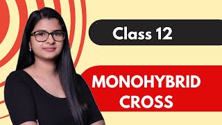 Class 12  Monohybrid Cross  HINDI  Under 6 mins [upl. by Laniger161]