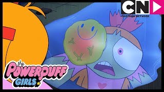 Powerpuff Girls  What Has Blossom Become  Cartoon Network [upl. by Hgielhsa955]