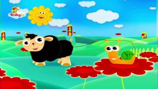 Ooh Ooh Ovejita Negra  BabyTV Español [upl. by Gelya348]