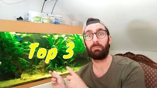 Top 3 GARNALEN in het GEZELSCHAPSAQUARIUM [upl. by Spiegleman53]