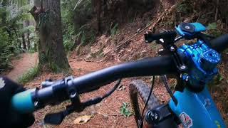 Whakarewarewa forest mountain biking [upl. by Boyt]