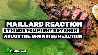 Maillard Reaction  5 Things You Might Not Know About The Browning Reaction [upl. by Vivyan]