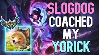 SLOGDOGS IMPRESSED BY MY YORICK [upl. by Hayn]