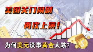 美国关门闹剧再次上演，为何美元没事而黄金大跌？ [upl. by Absa]