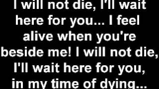 Three Days Grace  Time of Dying lyrics [upl. by Gunthar132]