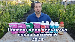 Підживлення винограду перед цвітінням 2024 [upl. by Ardme]