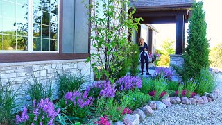 FRONT YARD GARDEN TOUR  Window Boxes Perennials In Bloom amp Container Garden Recipes [upl. by Zola]