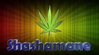 Shashamane 100 Weed Dubplate Mix [upl. by Cioffred]