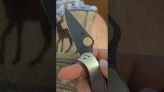 Spyderco Delica 4 Stainless Steel Handle Lockback VG 10 steel Review [upl. by Arahat801]