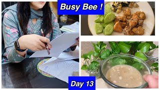 Day 13 Military Diet for Fat Loss What I eat in a day to lose 25kgs by Aleezay ReviewsDaily Vlog [upl. by Portwine]