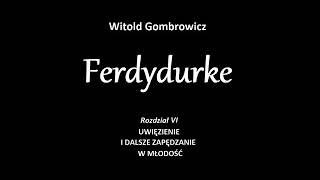 Ferdydurke  rozdział 6 [upl. by Eelirem]